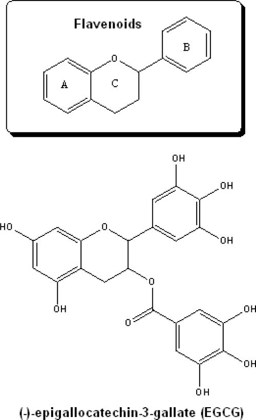 An external file that holds a picture, illustration, etc., usually as some form of binary object. The name of referred object is rmmj-1-2_e0011_Figure12.jpg